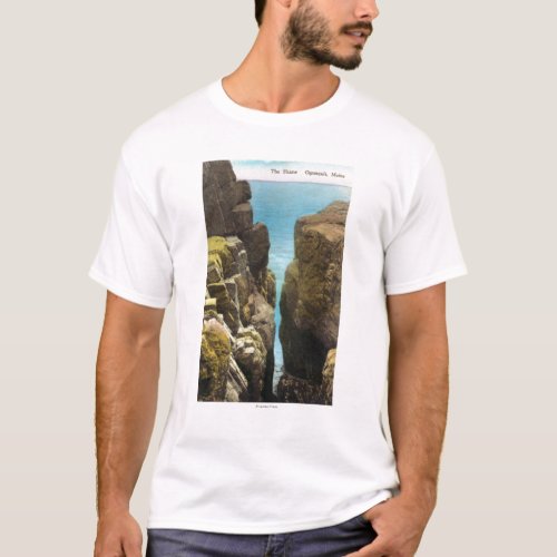 View of the Flume T_Shirt