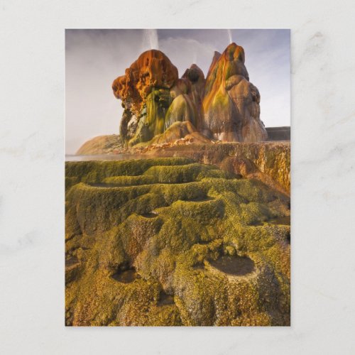 View of the Fly Geyser Postcard