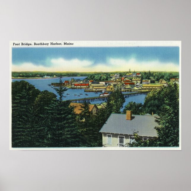 View of the Foot Bridge Poster (Front)