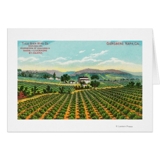 View of the Giersberg VineyardNapa, CA (Front Horizontal)