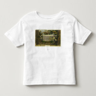 View of the Grave of British Soldiers Toddler T-shirt