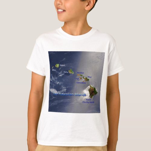 View of the Hawaiian Islands T_Shirt