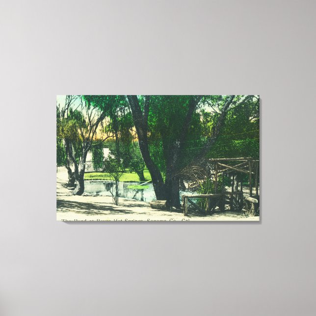 View of the Hot Springs Pond Canvas Print (Front)
