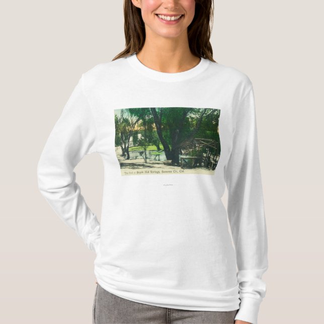 View of the Hot Springs Pond T-Shirt (Front)