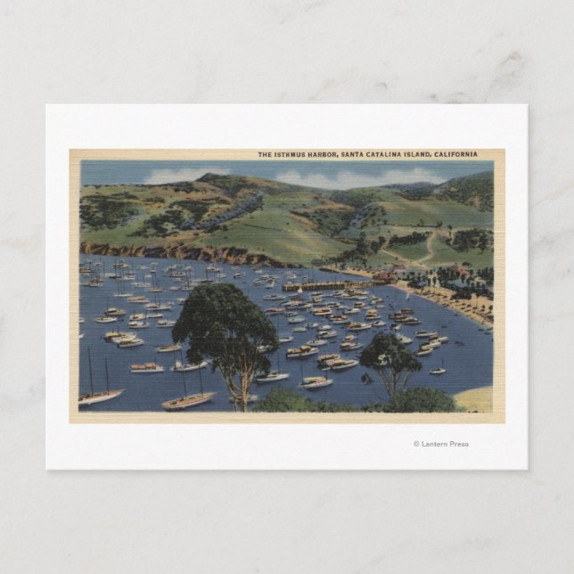 View of the Isthmus Harbor Postcard (Front)