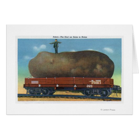 View of the Kind of Potatoes Raised in Maine Cards (Front Horizontal)
