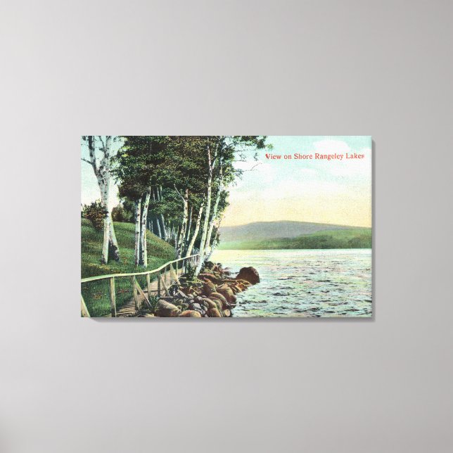 View of the Lake Shore Canvas Print (Front)