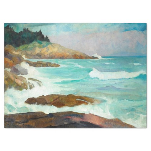 View of the Maine Coast by Newell Convers Wyeth Tissue Paper