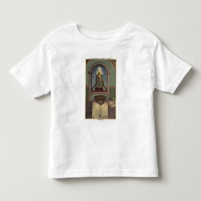 View of the Mission & Baptistry Toddler T-shirt (Front)