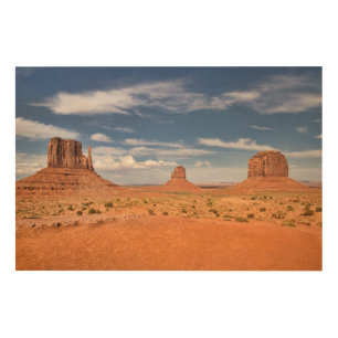 View of the Mittens, Monument Valley Wood Wall Art