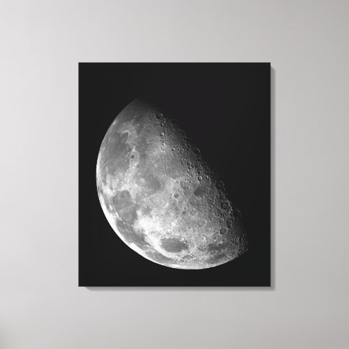 View of the Moons north pole Canvas Print