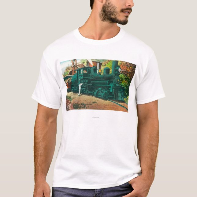 View of the Mt. Tamalpais Railway Train T-Shirt (Front)