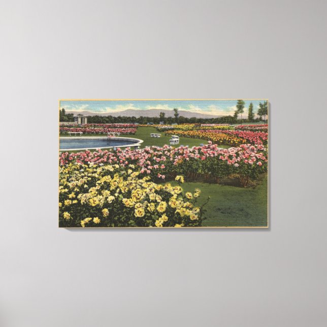 View of the Municipal Rose Garden Canvas Print (Front)