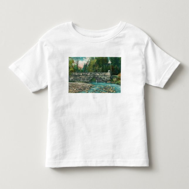 View of the Napa County BridgeNapa, CA Toddler T-shirt (Front)