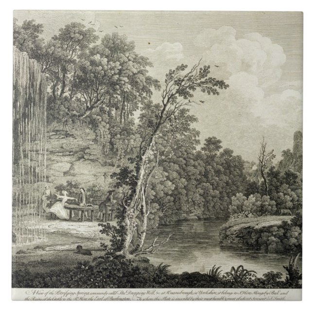 View of the Petrifying Spring commonly called the Ceramic Tile (Front)