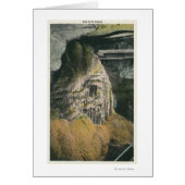 View of the Pipe Organ (Front)