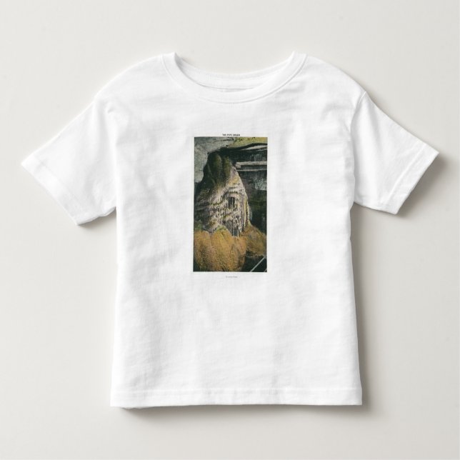 View of the Pipe Organ Toddler T-shirt (Front)