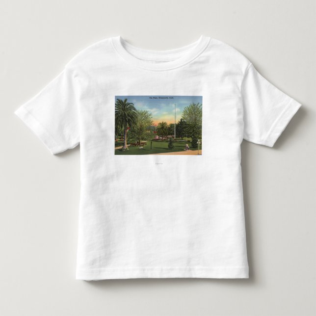View of the Plaza Toddler T-shirt (Front)