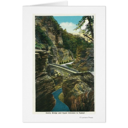 View of the Sentry Bridge & Upper Tunnel Cards (Front)