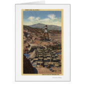 View of the Shasta Dam (Front)