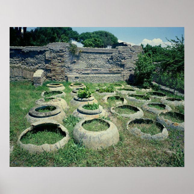View of the shops poster (Front)