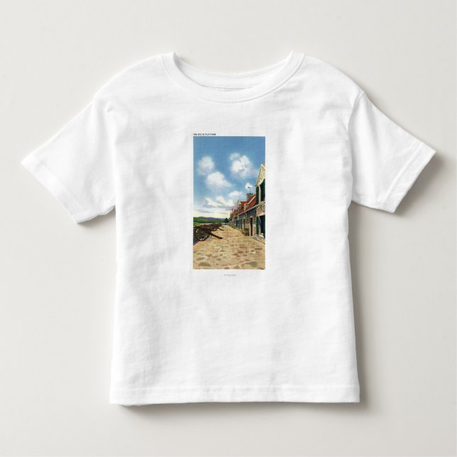 View of the South Platform Toddler T-shirt (Front)