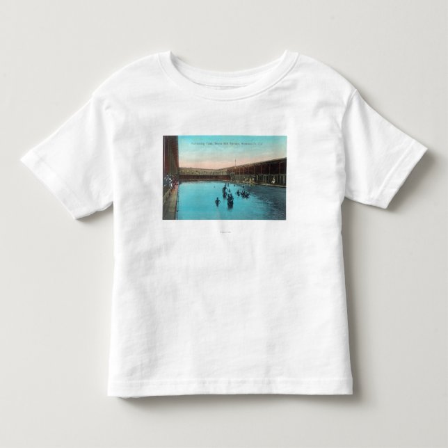 View of the Swimming TankBoyes Hot Springs, CA Toddler T-shirt (Front)