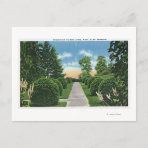 View of the Tanglewood Gardens # 2 Postcard