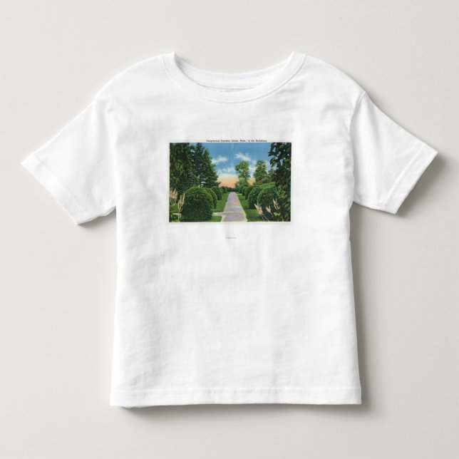 View of the Tanglewood Gardens # 2 Toddler T-shirt (Front)