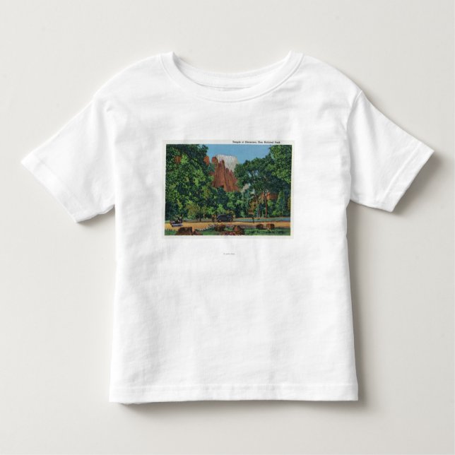 View of the Temple of Sinawava Toddler T-shirt (Front)