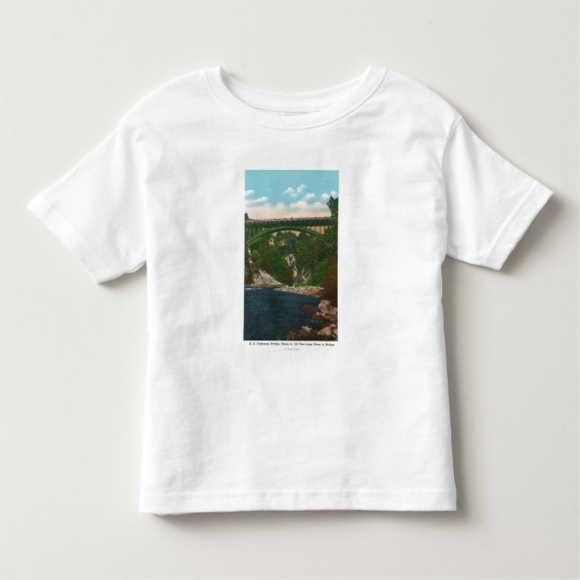 View of the US Hwy Bridge, Route 9 Toddler T-shirt (Front)