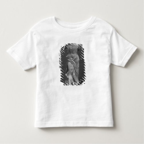 View of the Victory Samothrace in Louvre museum Toddler T_shirt