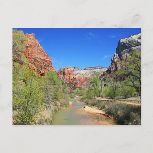 View of the Virgin River 1 Postcard