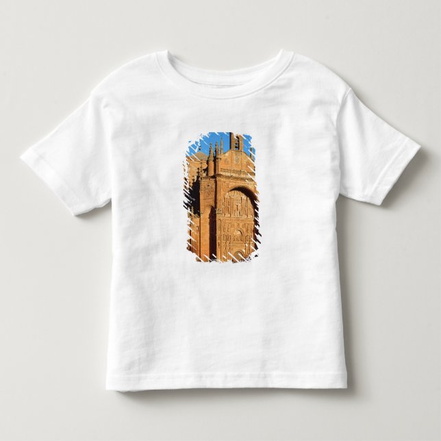 View of the West Front Toddler T-shirt (Front)