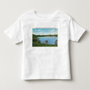 View of Town from West Lake Road Toddler T-shirt
