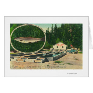 View of Trout Haven HatcheryGasquet, CA Cards
