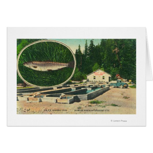 View of Trout Haven HatcheryGasquet, CA Cards (Front Horizontal)