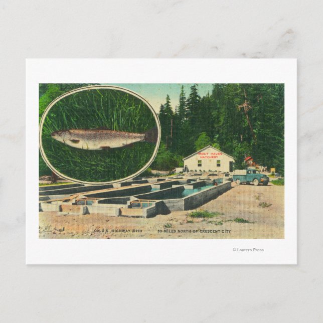 View of Trout Haven HatcheryGasquet, CA Postcard (Front)