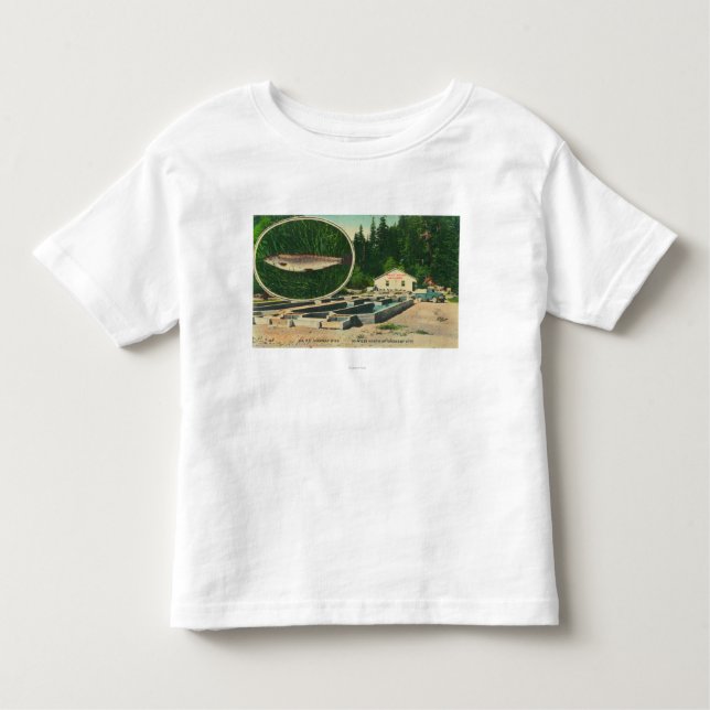View of Trout Haven HatcheryGasquet, CA Toddler T-shirt (Front)