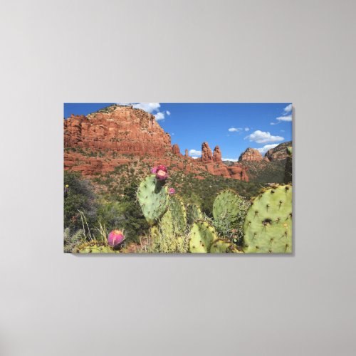 View of Twin Buttes  Sedona Arizona Canvas Print