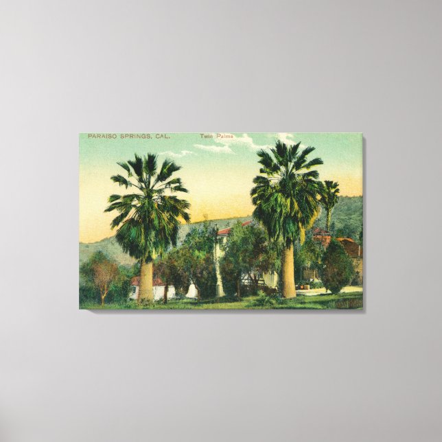 View of Twin PalmsParaiso Springs, CA Canvas Print (Front)