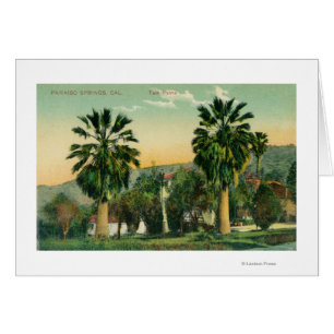 View of Twin PalmsParaiso Springs, CA Cards