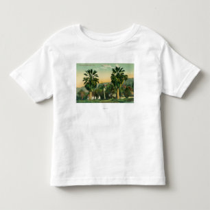 View of Twin PalmsParaiso Springs, CA Toddler T-shirt