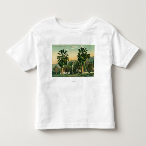 View of Twin PalmsParaiso Springs CA Toddler T_shirt