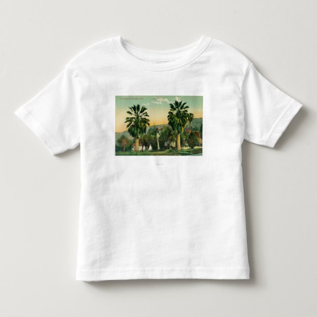 View of Twin PalmsParaiso Springs, CA Toddler T-shirt (Front)
