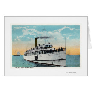 View of Typical Cape Cod Sand Dunes Cards
