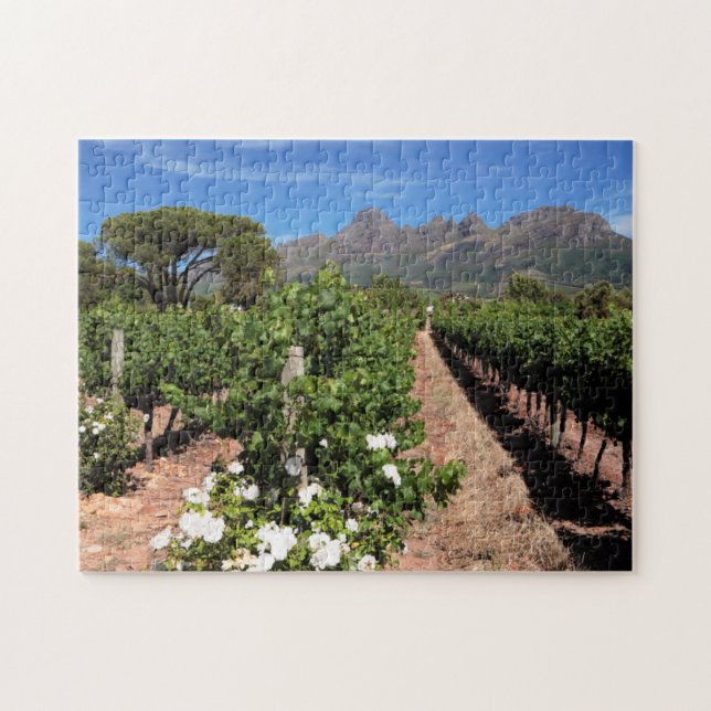 View Of Vineyards. Stellenbosch Jigsaw Puzzle (Horizontal)