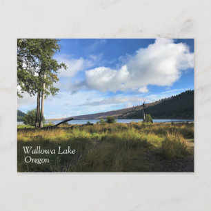 View of Wallowa Lake, Oregon Postcard