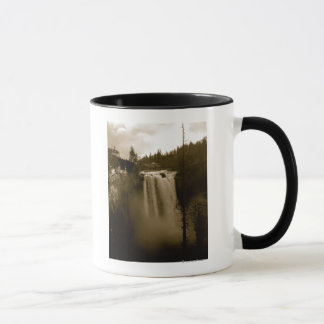 View of Waterfall Mug