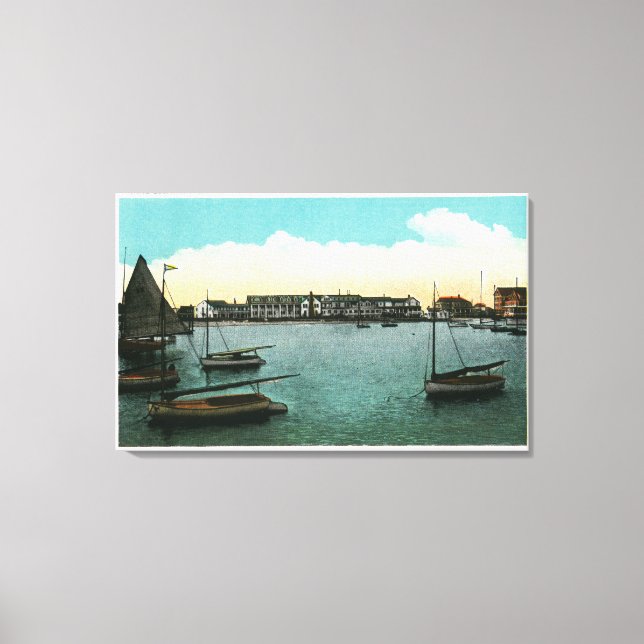 View of White Elephant Canvas Print (Front)